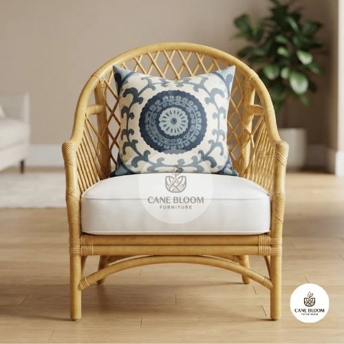 Cane Accent Easy Chair with Cushioned Seat